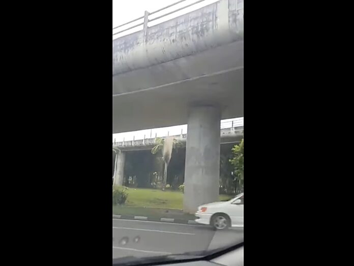 BDC-flyover - Copy