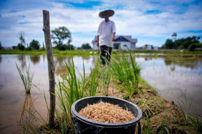 ac90ca169e9001dd9e56977317f40440