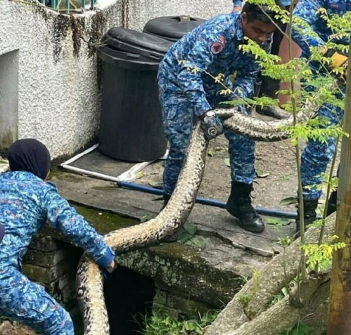 b16eddd6ea559b4b52a38a5d683af291