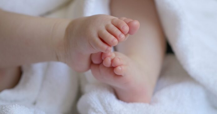 baby-6823431_1280