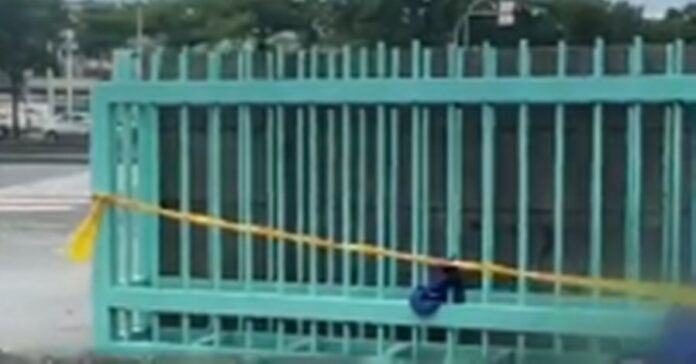 capture-20231005-142834