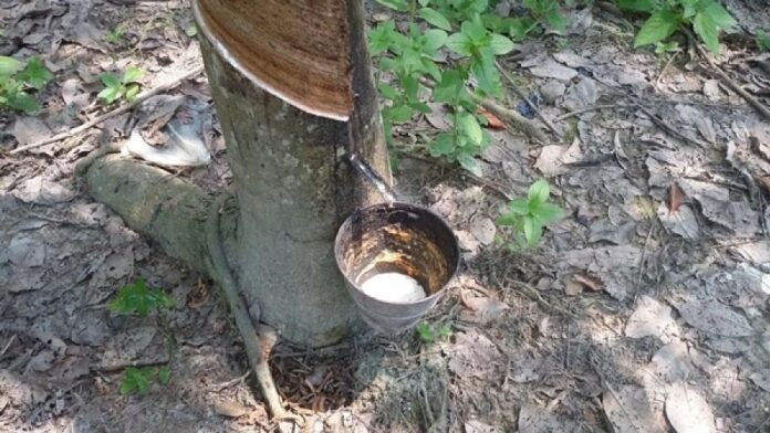 eb59c28e02684686dc663bba328aeb4f