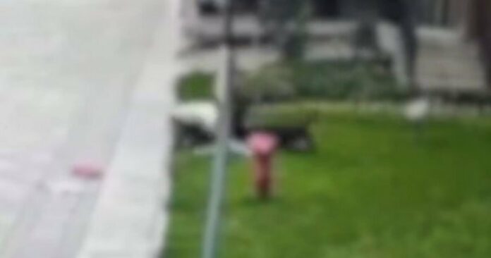 f4f18e7038299006a53050dc38a0dc79