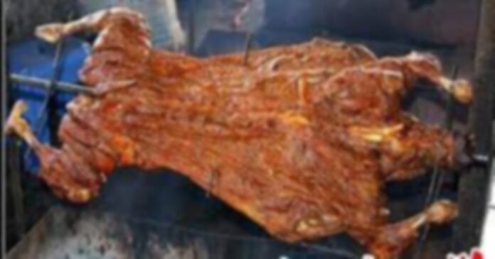 lamb