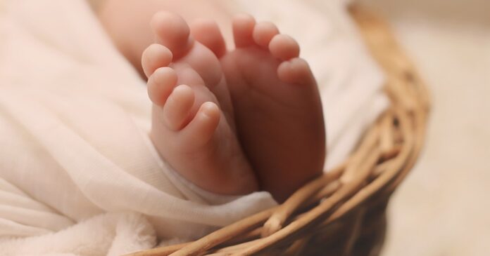 newborn-1399155_1280