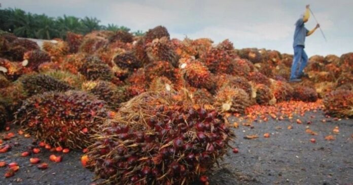 166c6f48cd64effa7204779a05964d4c