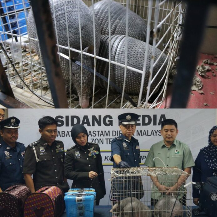 2236d0b11fda2babe9bd864507c6b7e8