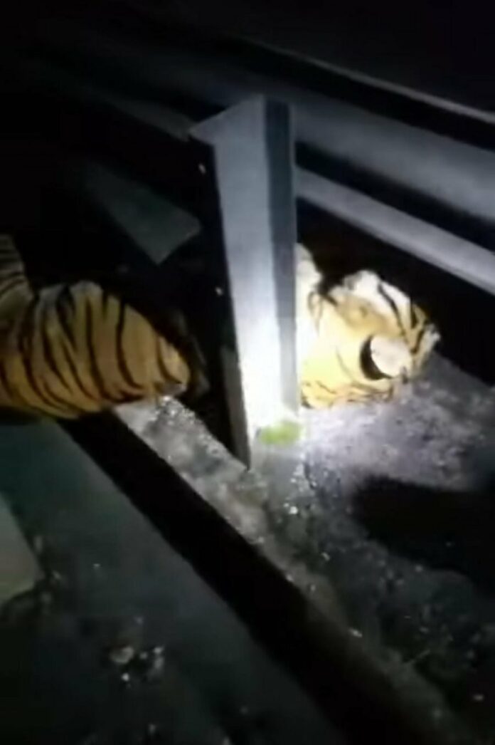 4cd7b2c2ce1d38a2a3b36f6e706e92a4