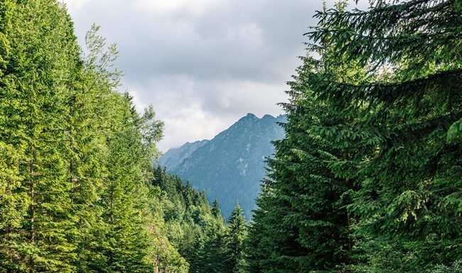 2人在山路边睡觉 路人近看才知已断气