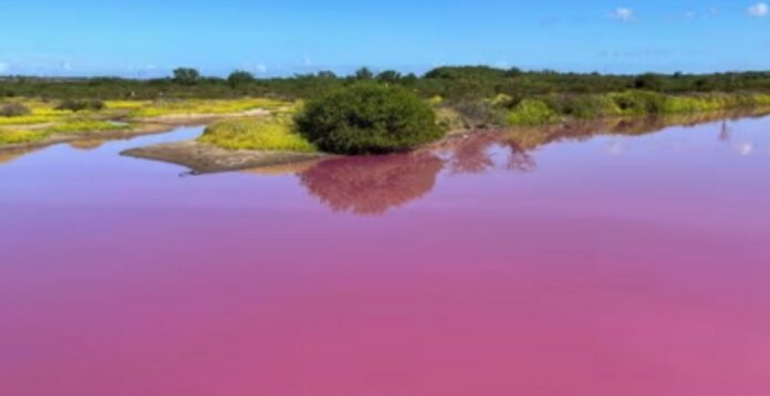 99bc71349bf47d5f6dfd2385edf84c2c