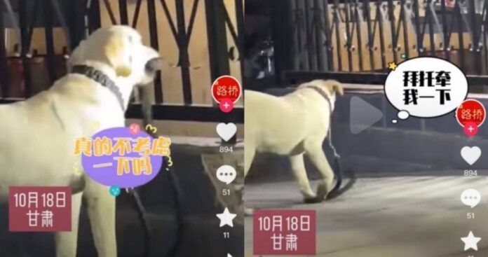 bac8f6b7c8f245cb32e61abbbdbe1185