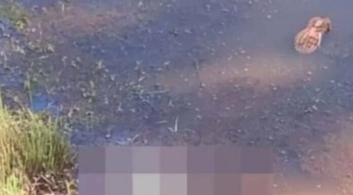 采石场矿湖惊现男尸 双手被捆绑头部有明显伤痕